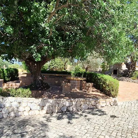 Quinta Do Moinho Novo Ferienhaus
