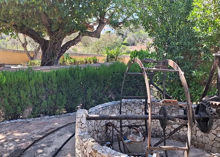 Quinta Do Moinho Novo Hébergement de vacances *